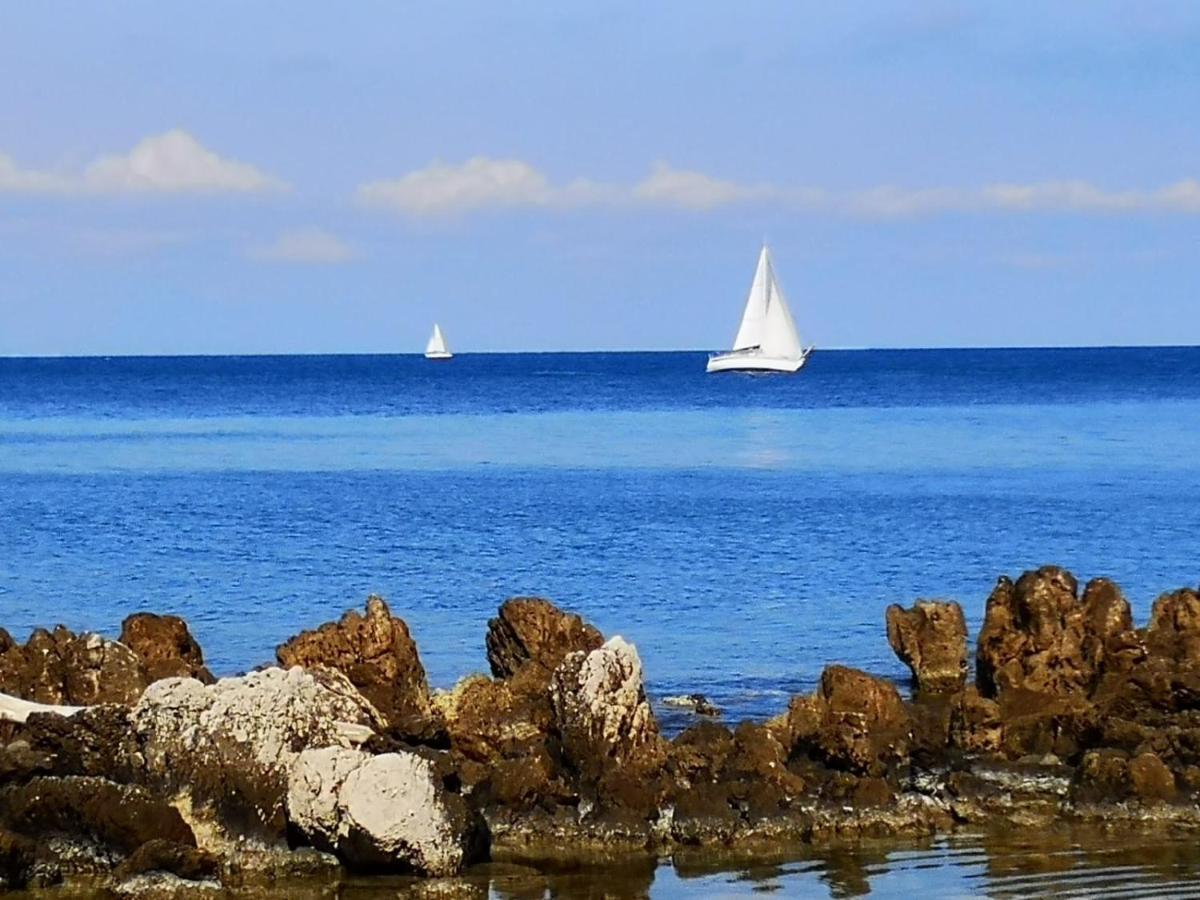 Apartment 5 Min To Sea Francaise Old Town *