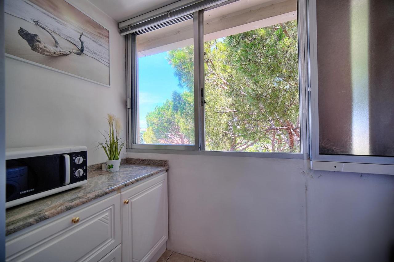 Attique Antibois - Piscine - Vue - Parking - Wifi Apartment Antibes