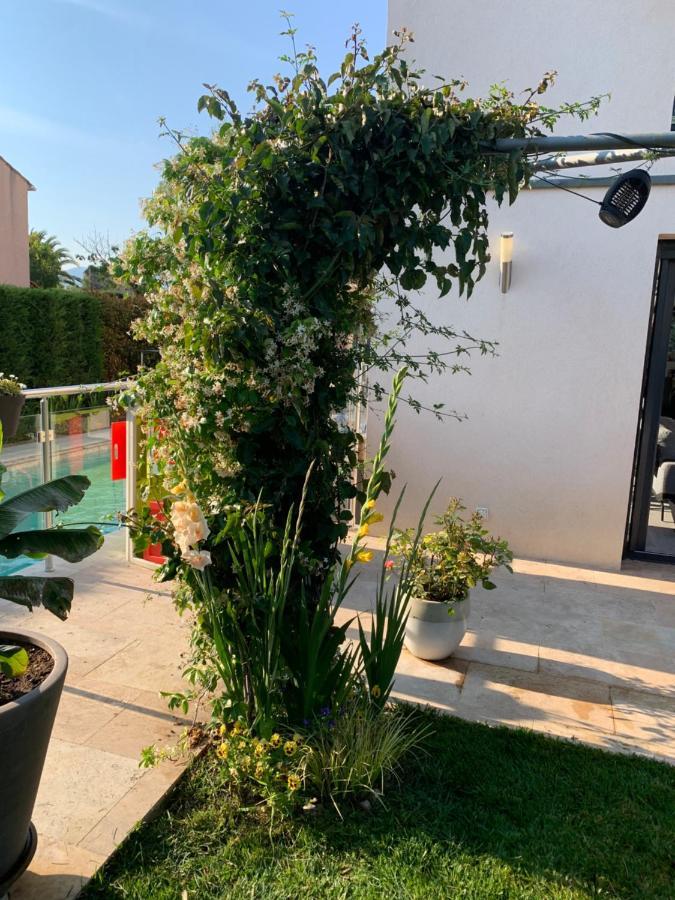 Séjour chez l'habitant Elimia Piscine Privee & Chauffee Antibes