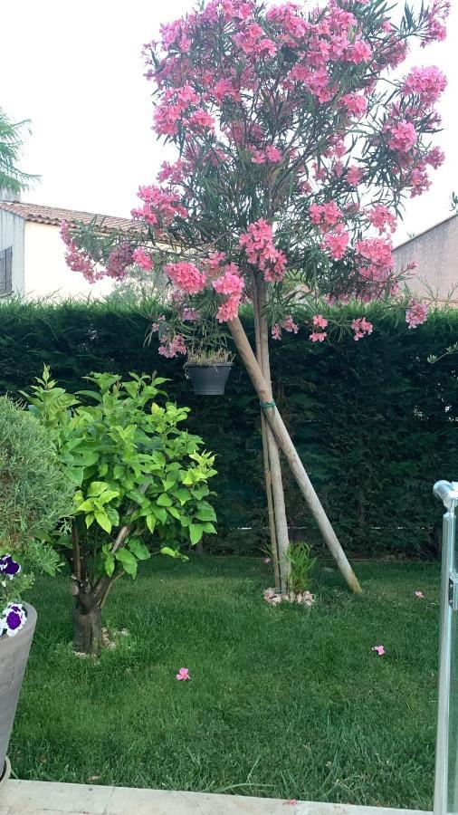 Elimia Piscine Privee & Chauffee *
