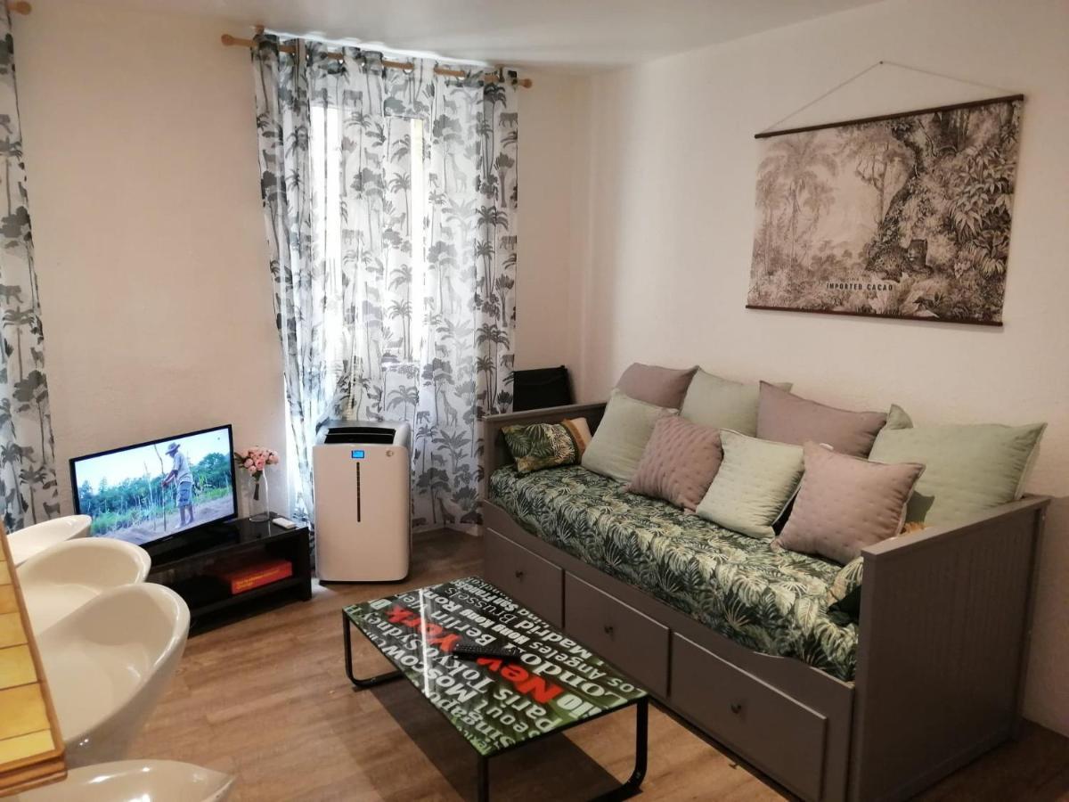 Apartamento Coquet 2 Pieces Coeur Vieil
