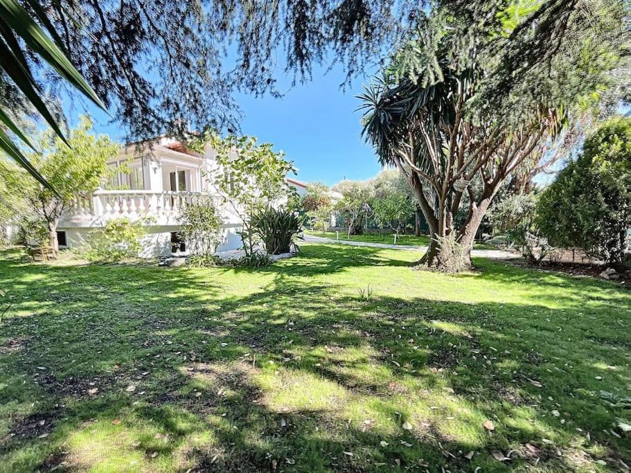 Villa Valentina Bord De Au Calme Antibes