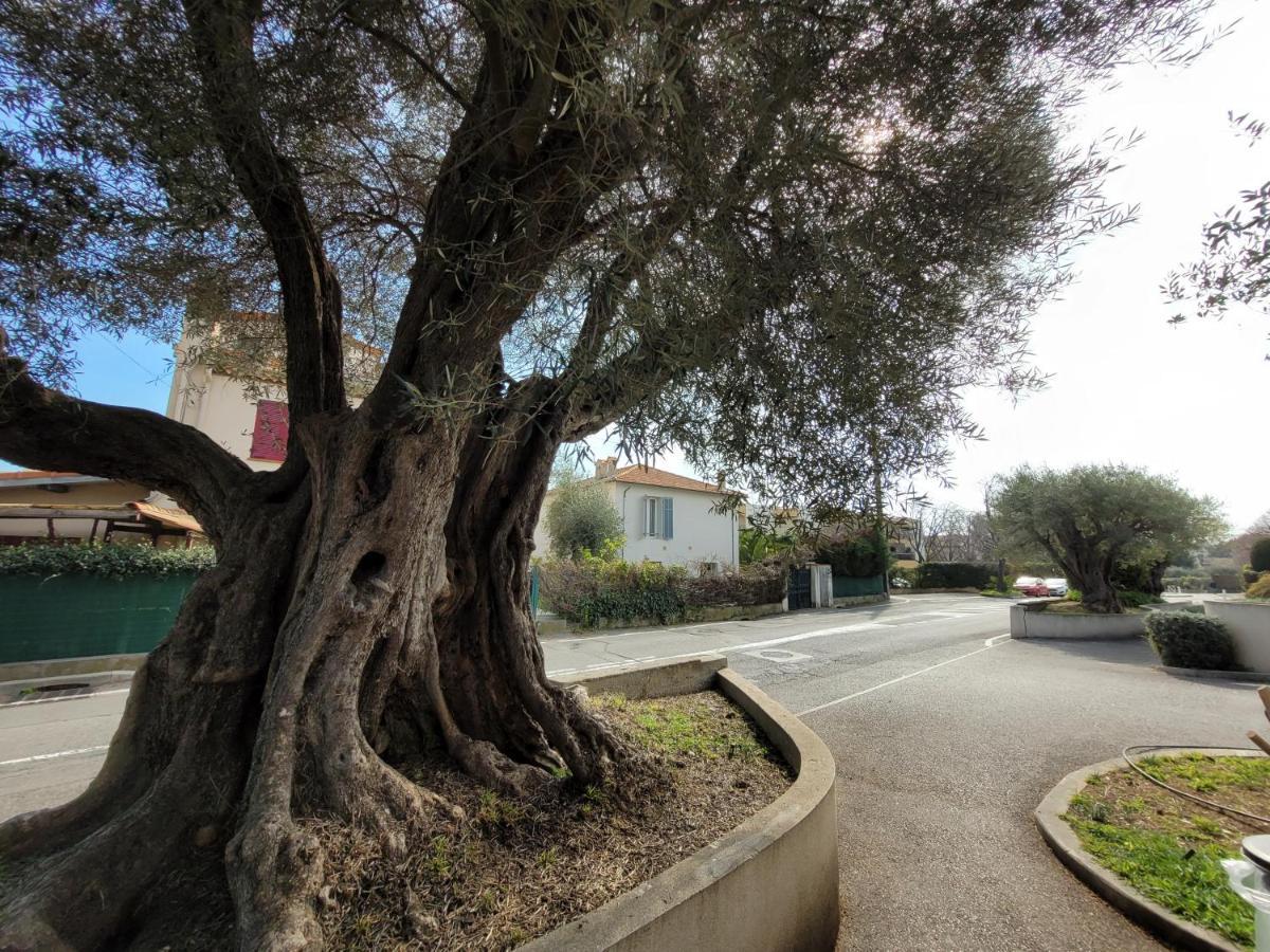La Desiree - De Villa, 68m2, 8 Personnes Max, Climatise, 4 Etoiles, 120m2 De Jardin Et Parking, Wifi, Vu Holiday home *