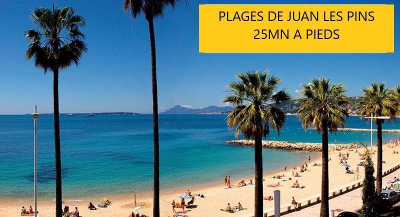 Au Calme, Proche Commerces Et Plages Appartement