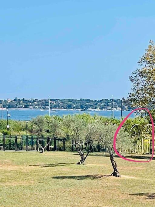 Riviera's Soul * Antibes