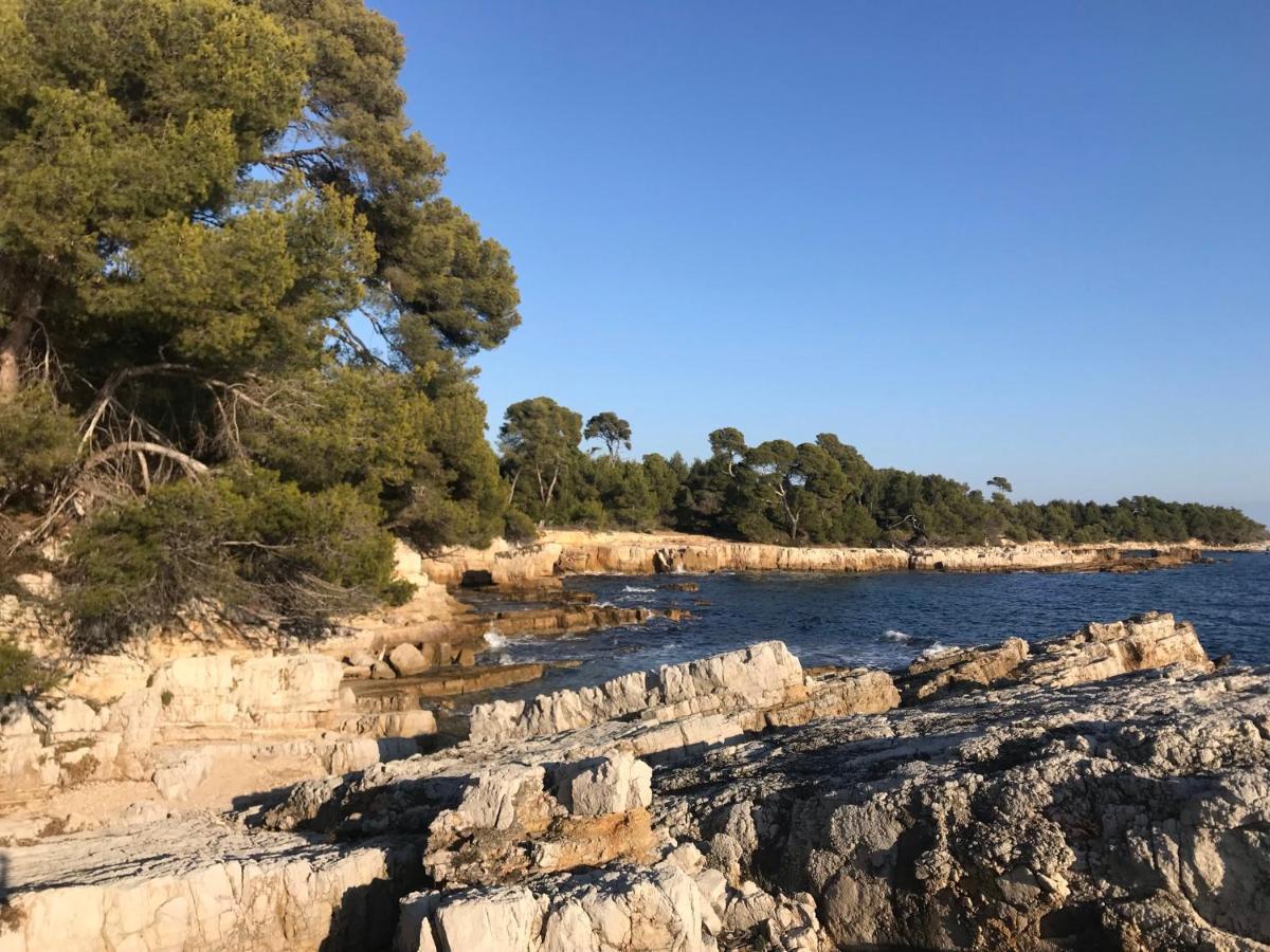Bel Avec Terrasse, Piscine, Parking Prive Et Club De Tennis, Padel En Sus * Antibes