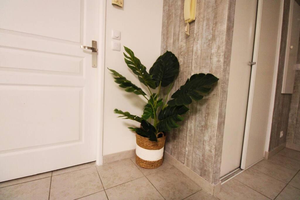 Palais De La Mer Yourhosthelper Apartment