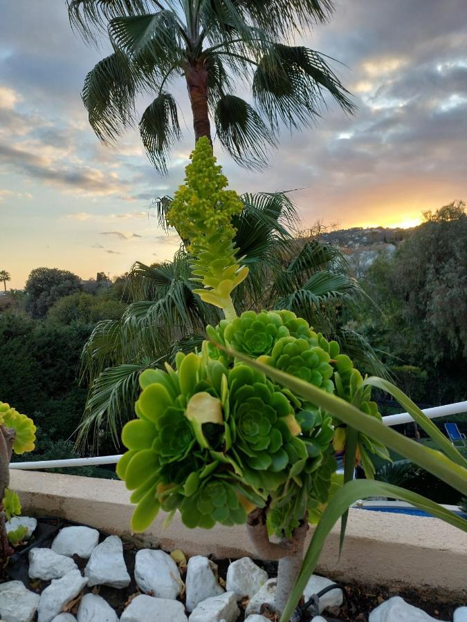Juan Les Pins Near Cannes Beaches 18-20 Guests Villa *