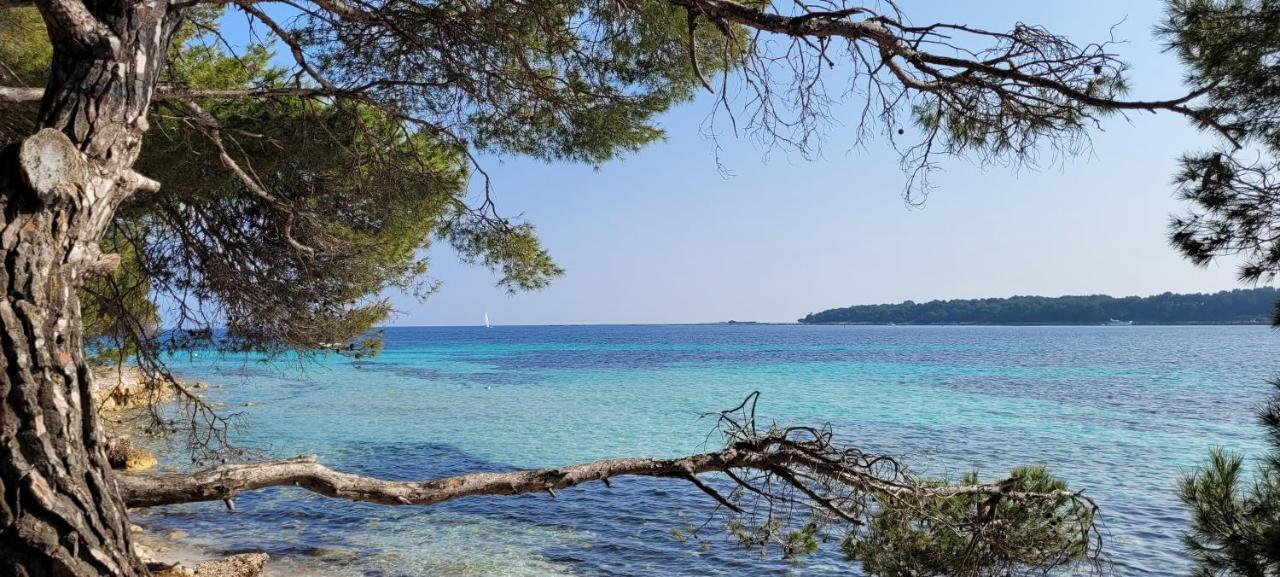Les Grenadines Du Samedi Au Samedi Apartamento *