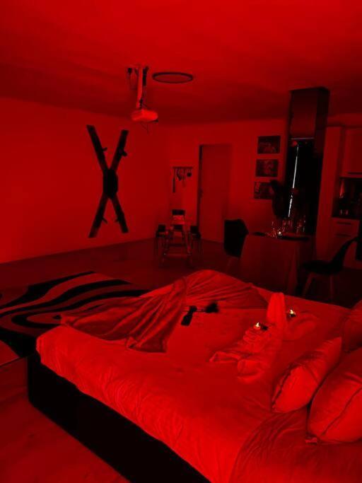 Love 80m2 Bdsm 50 Nuances De Grey - Sauna - Parking Gratuit *