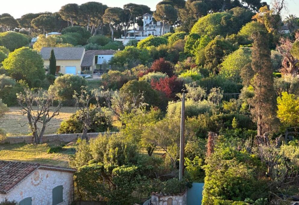 Cap D'antibes Vue Exceptionnelle Apartment
