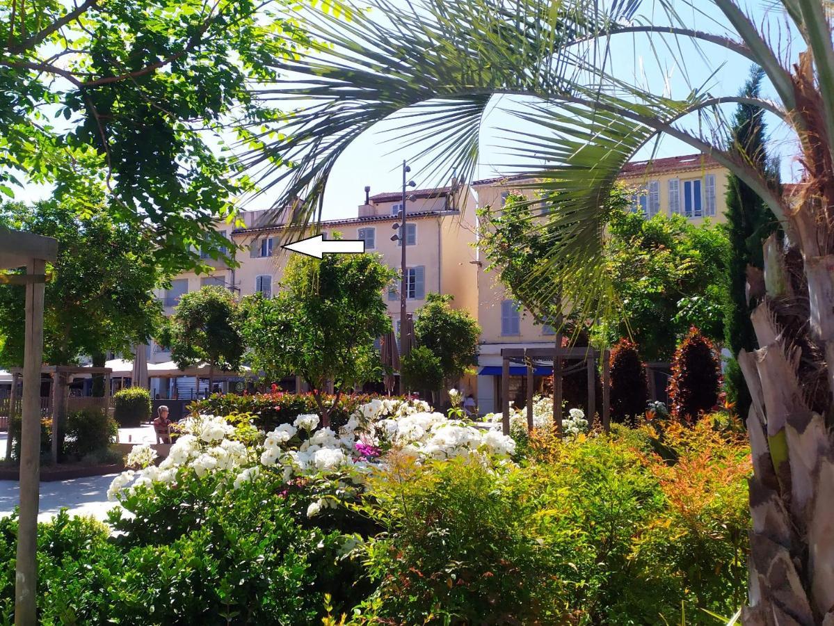 Apartamento Spacieux Vieil Climatise 5 Minutes Plages Antibes