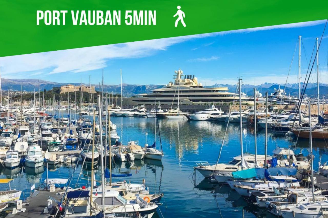 Le Bali Safranier Vieil