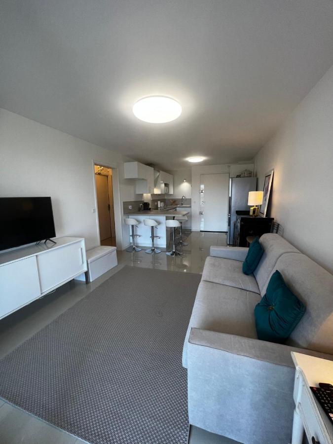 Le Mimosa 1 Bedroom With Terrasse Pool Ac Parking Spot * Antibes