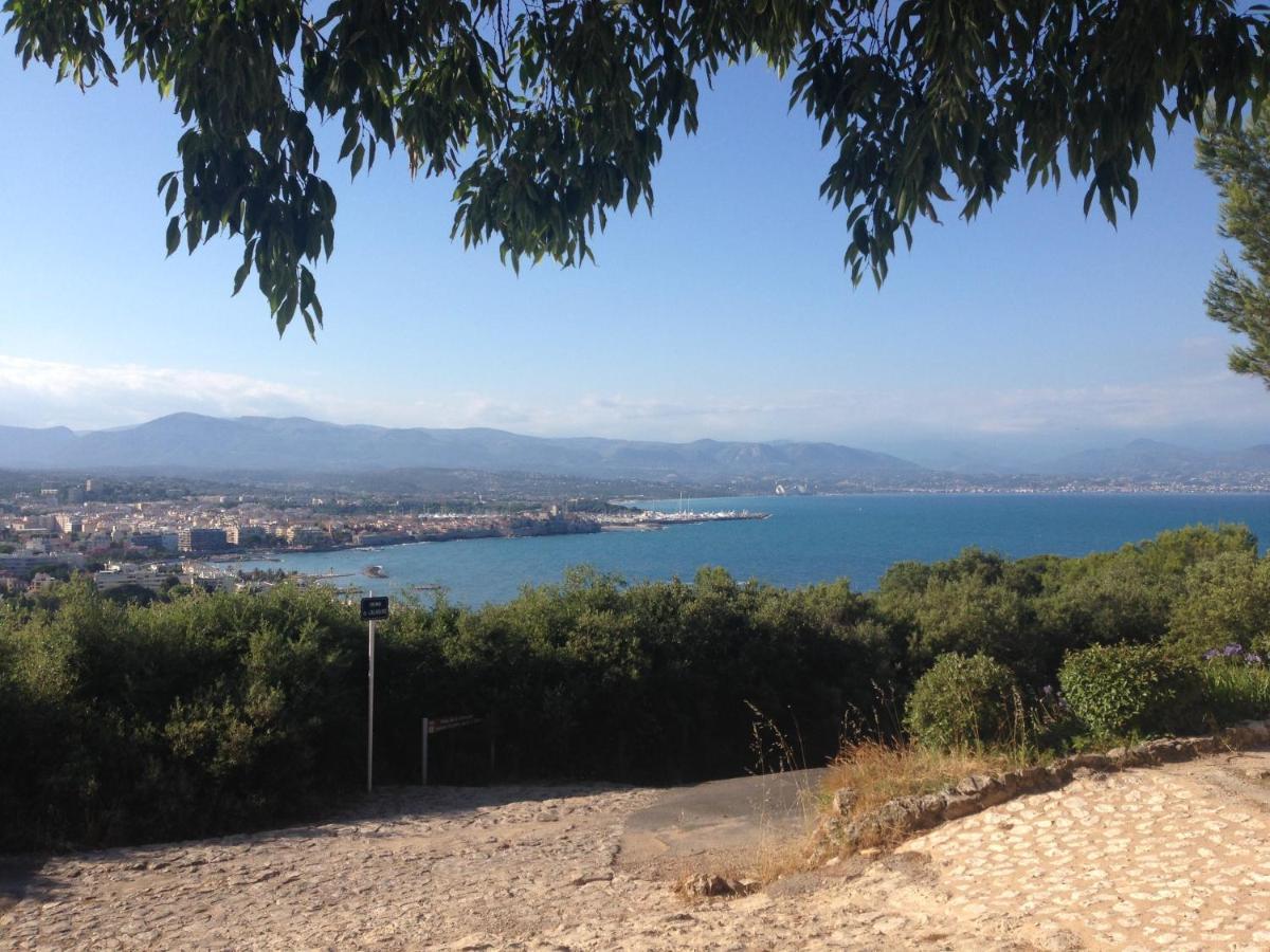 Apartment Penthouse With Extraordinary View Antibes