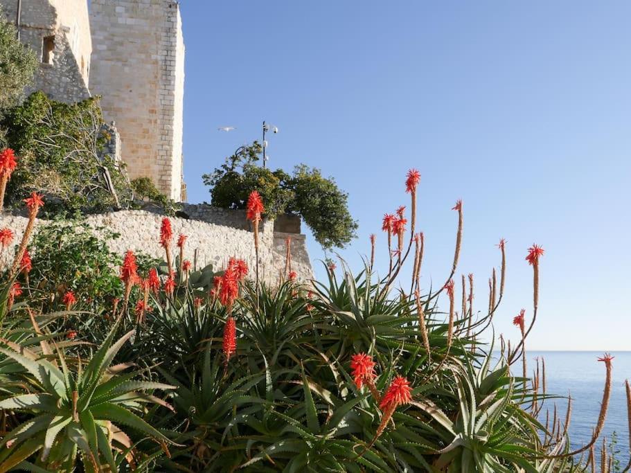 Holiday home Maison La Tropezienne ... New • Fabulous 5* Luxe & Terrasse • 6p. Old Town *