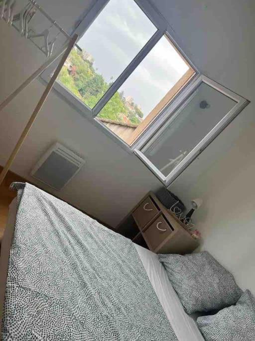 Maison Jumelee Eucalyptus Juan Les Pins Antibes
