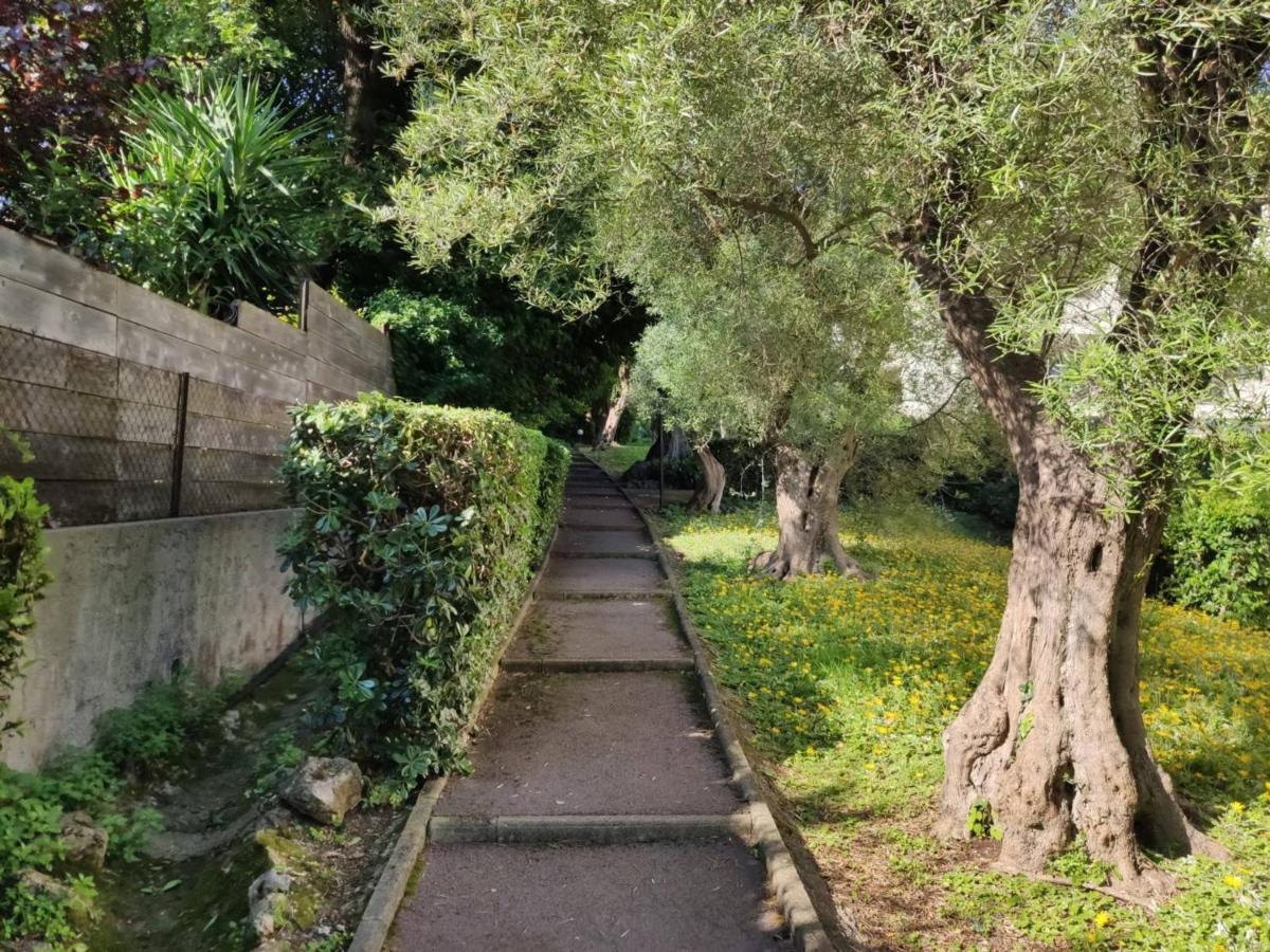 Appartement Antibes, 1 Pièce, 3 Personnes - Fr-1-252-159