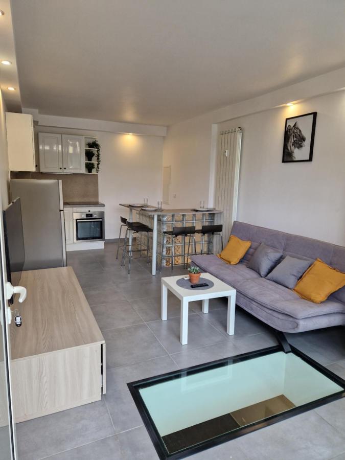 Appartement Souplex Avec Place De Parking