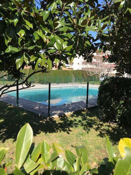 Superbe 2 Pieces A Antibes- Votre Escapade Parfaite Au Soleil ! Apartment *