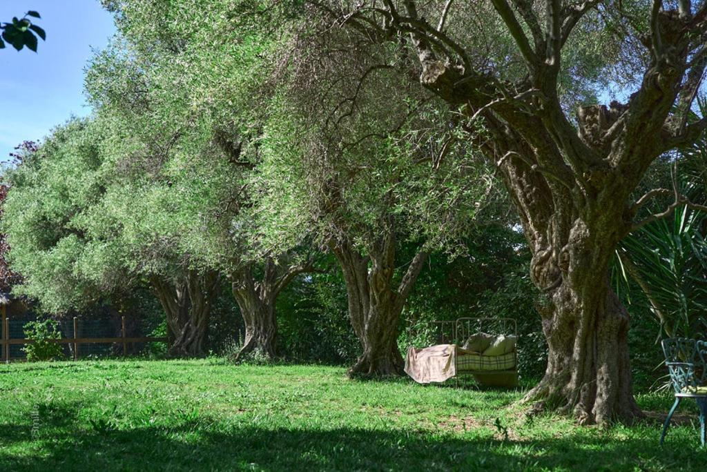 Villa Bastide Les Cigales *