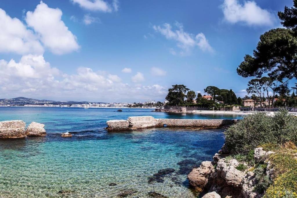 Apartment Superbe Studio Plein Pied Grand Jardin A 500m De La Plage *