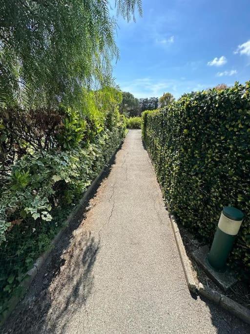 Appartement 3p 50m² 400m Antibes