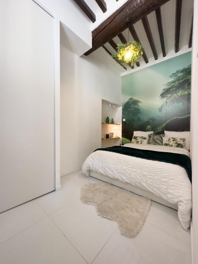 Le Cosy Safranier Vieil Apartment