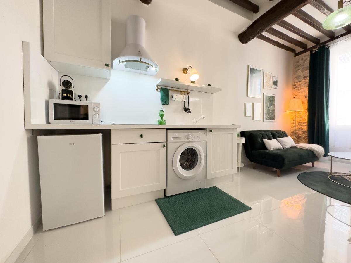Le Cosy Safranier Vieil Apartment