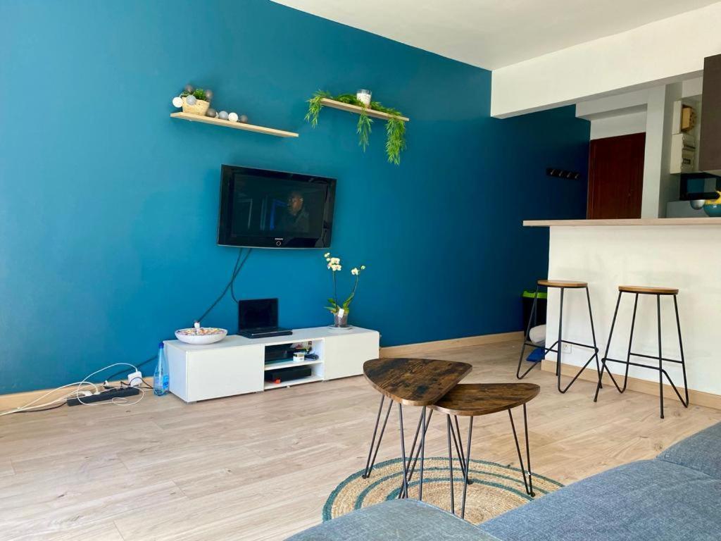 Superbe Studio Plein Pied Grand Jardin A 500m De La Plage Apartment Antibes