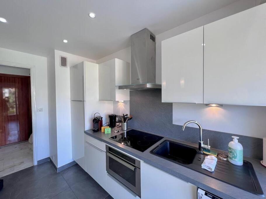 Appartement Le Pinede - 4 Prs- Parking - Clim - 500m Plages Antibes
