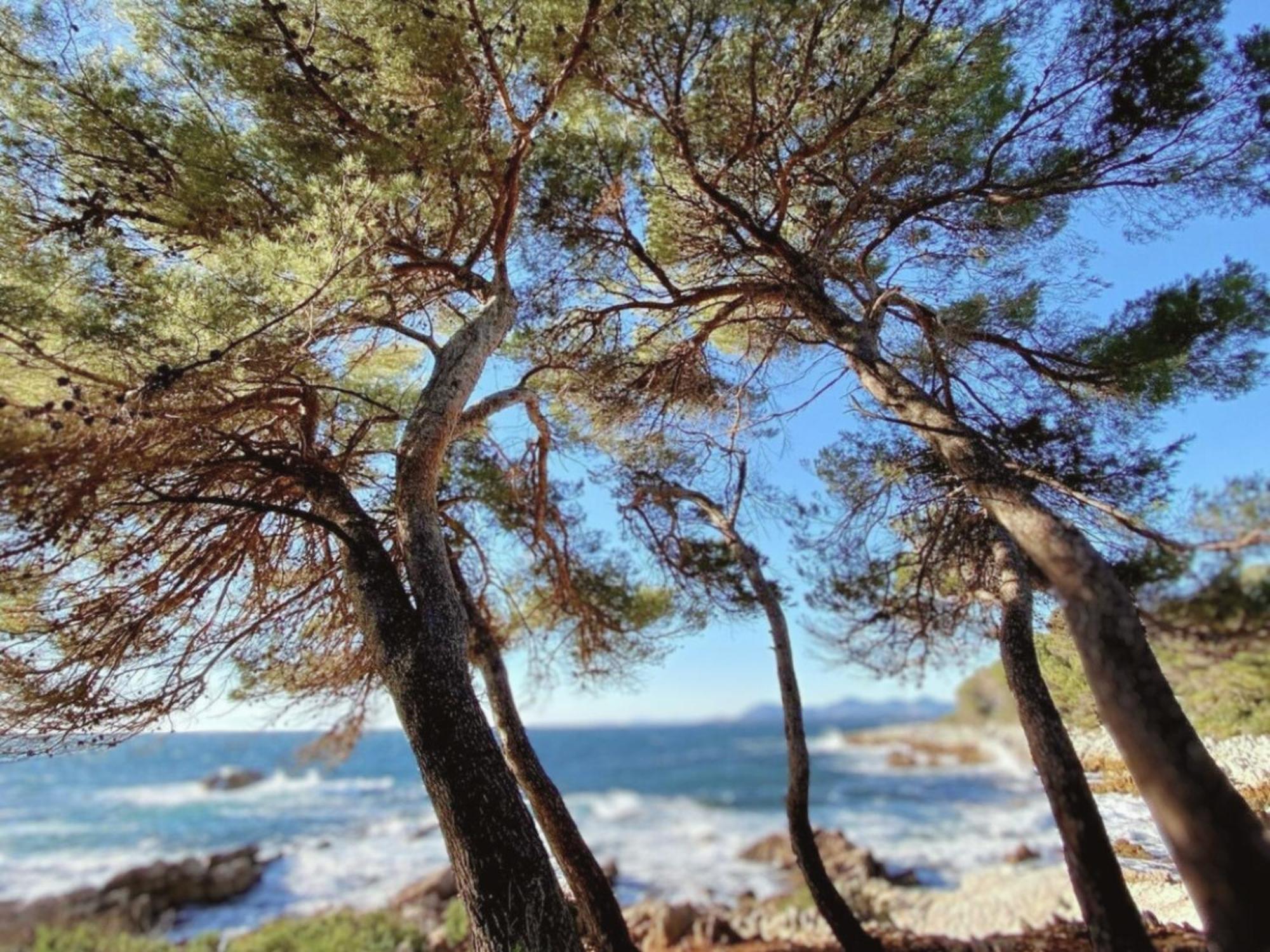 La Jabotte Hotel Antibes