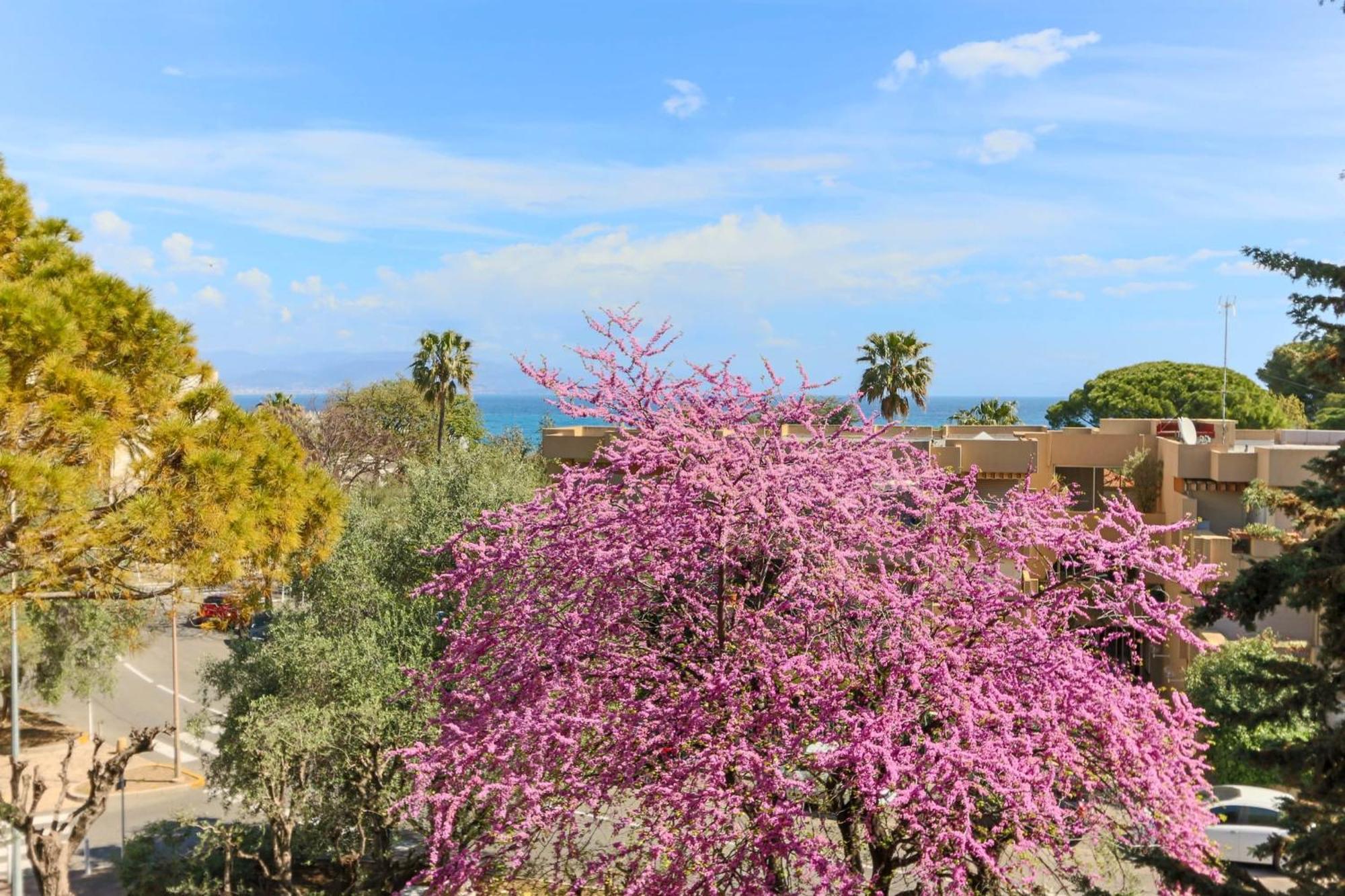 Beautiful Flat With Sea View Terrace Pool Parking Portative Ac- Benakey Antibes