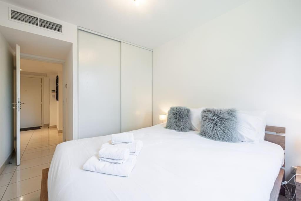 Beautiful And Spacious 2 Bed With Pool Apartment Antibes