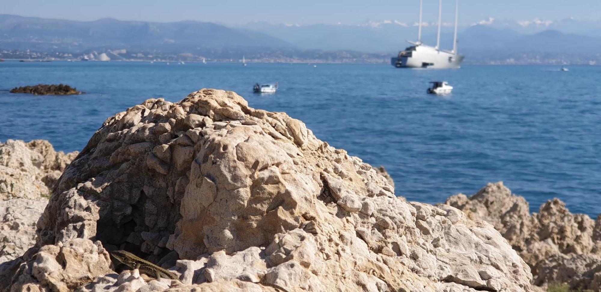 Villa Bastide Les Cigales Antibes