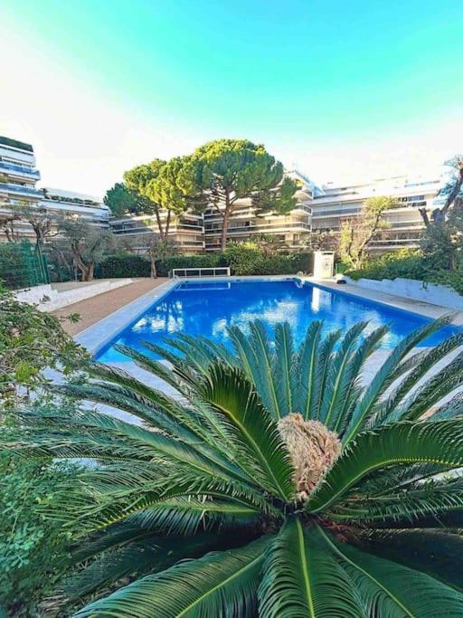 Apartment Le Cosy Tanit : 4 Prs, Piscine, 5 Min Plages Antibes
