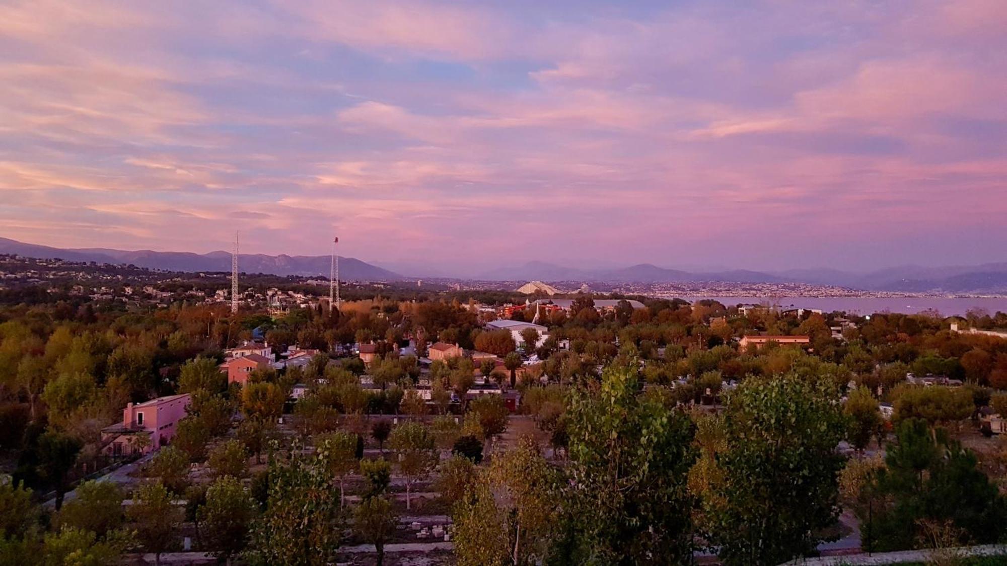 Studio Vista *