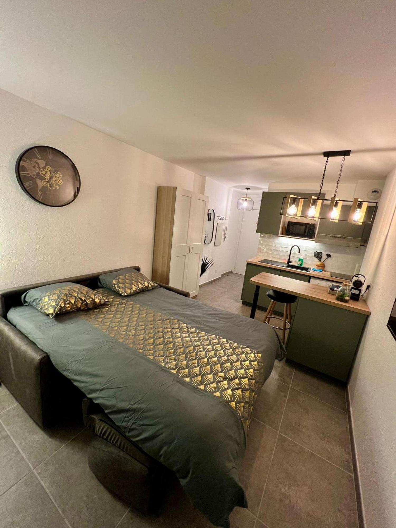 Climatise, Cosy Et Calme Au Centre Apartment Antibes