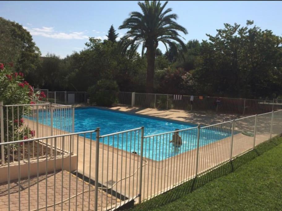 Apartment La Louisiane Yourhosthelper Antibes