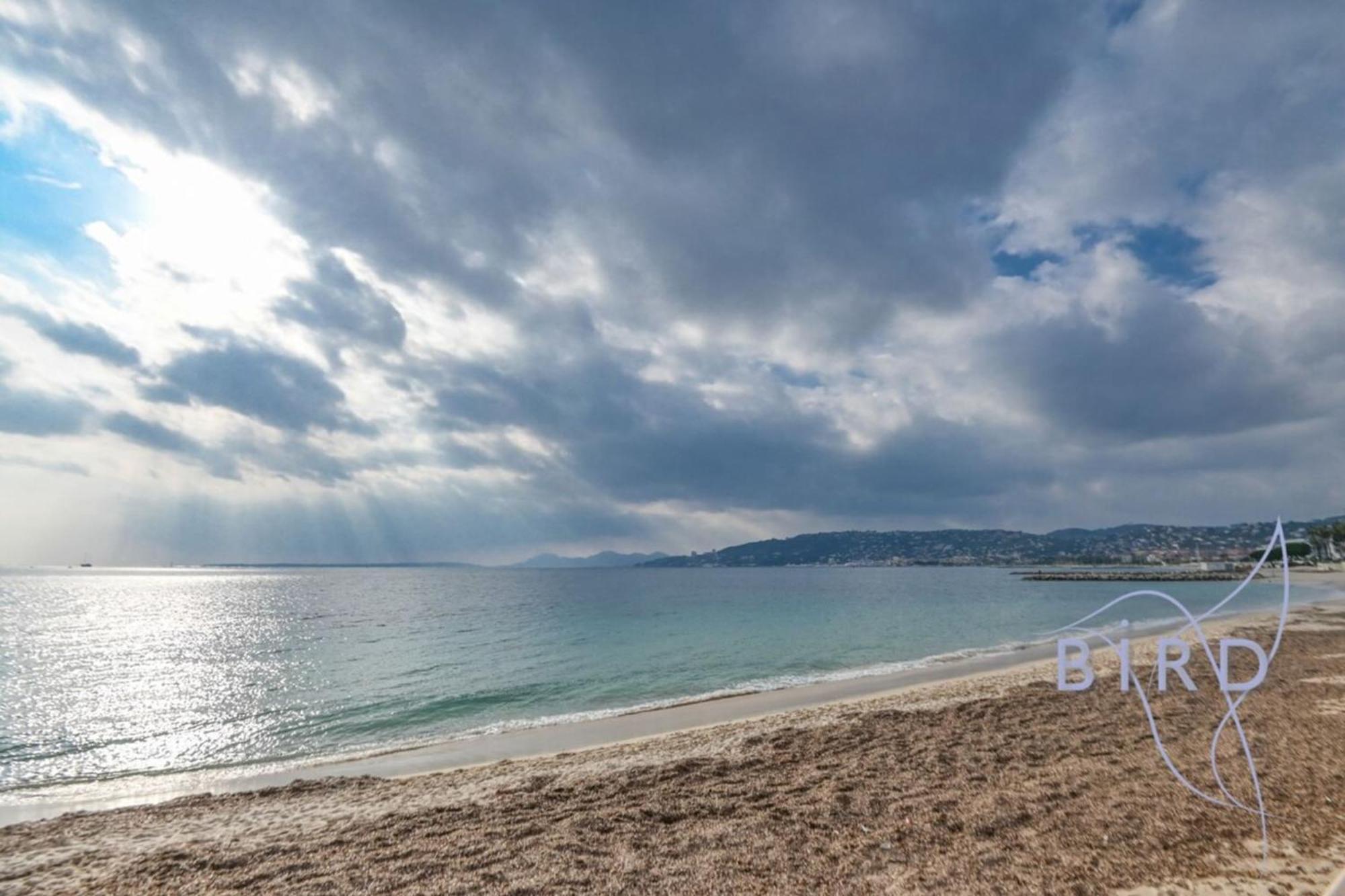Large On The Seafront Apartment