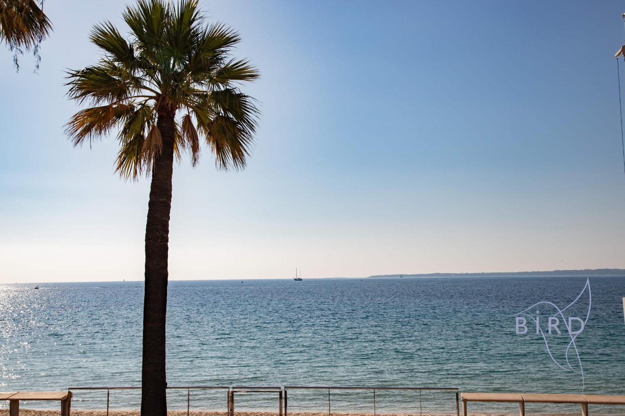 Large On The Seafront *