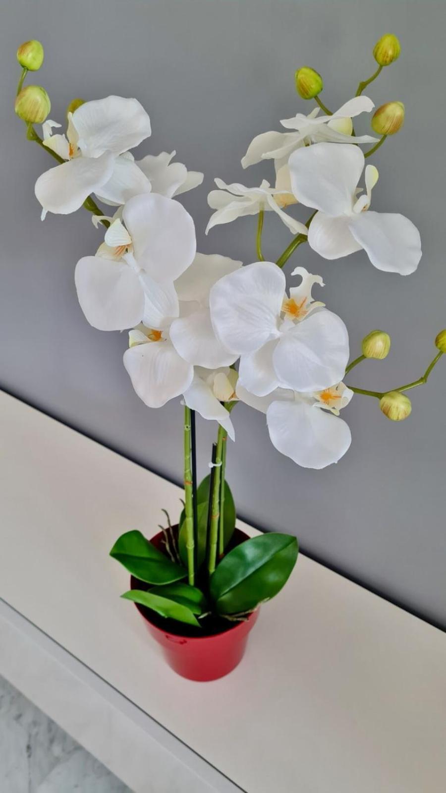 06bm - Plateaux Fleuris Apartment Antibes