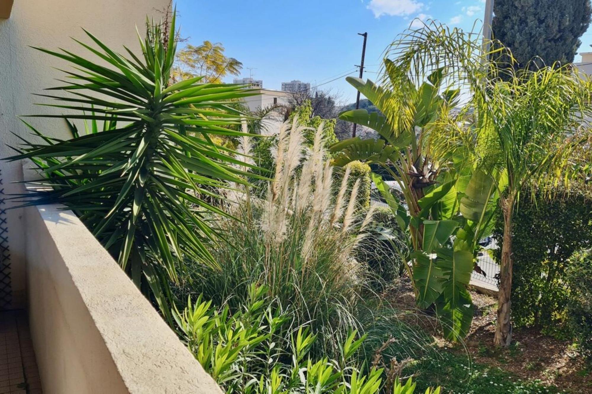 06bm - Plateaux Fleuris Apartment