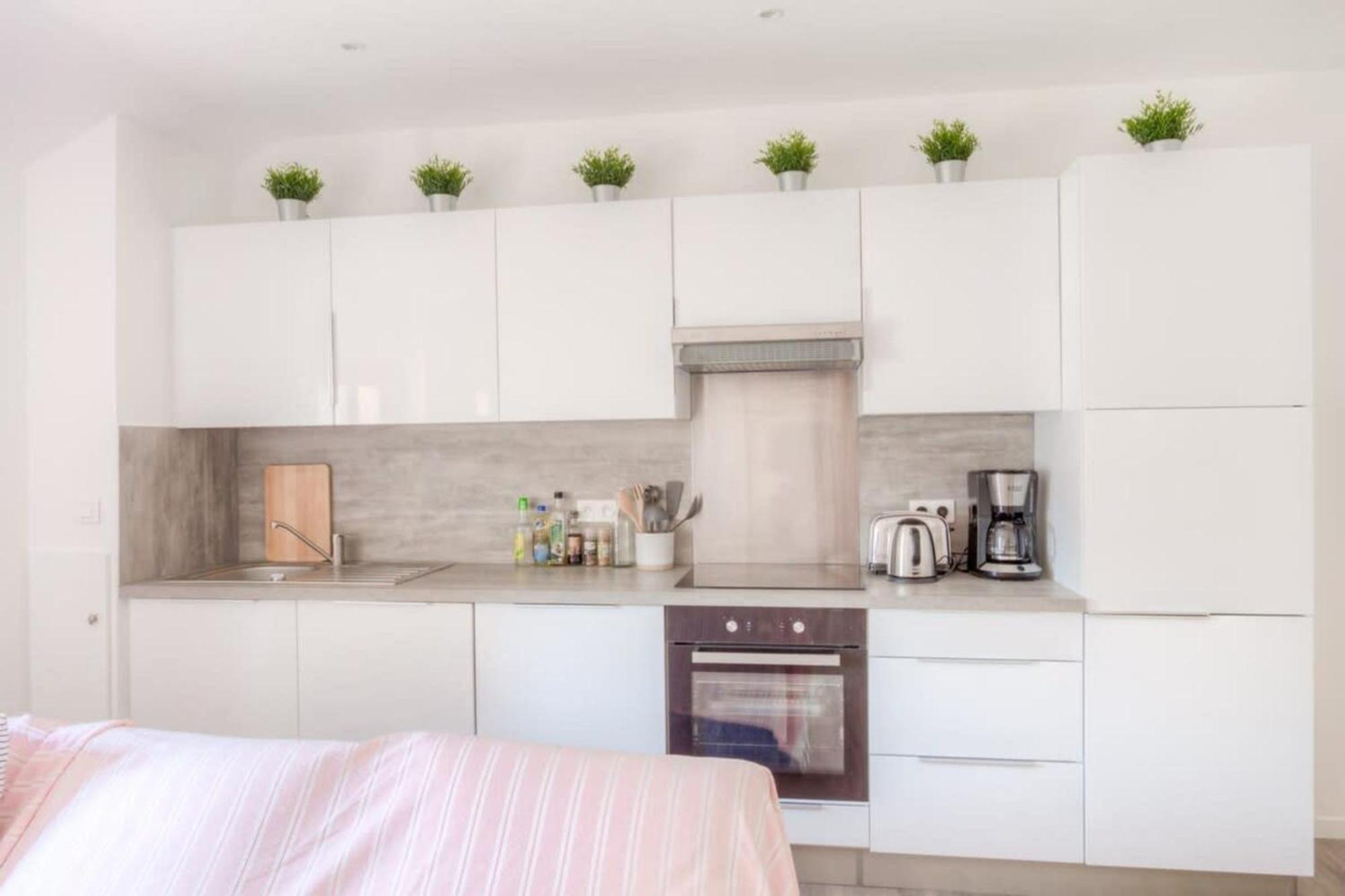 Apartment Albert 1er Furnished Antibes