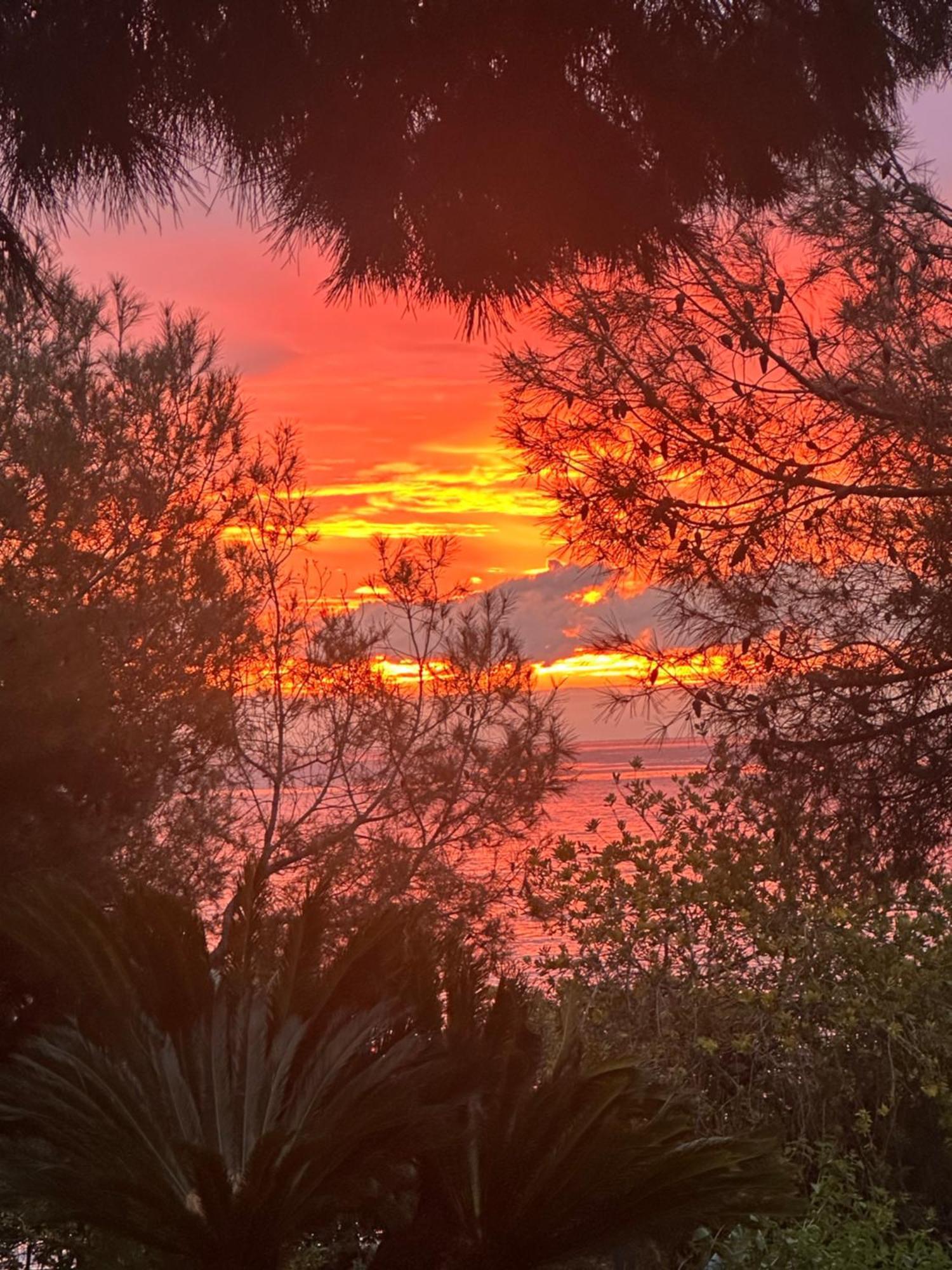 Cap D'antibes Sea View Villa *