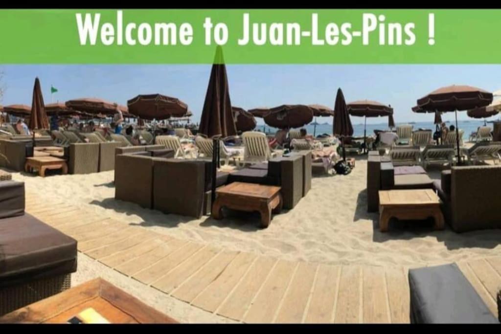 Les Palmiers - Cosy Proche Plages Et Centre