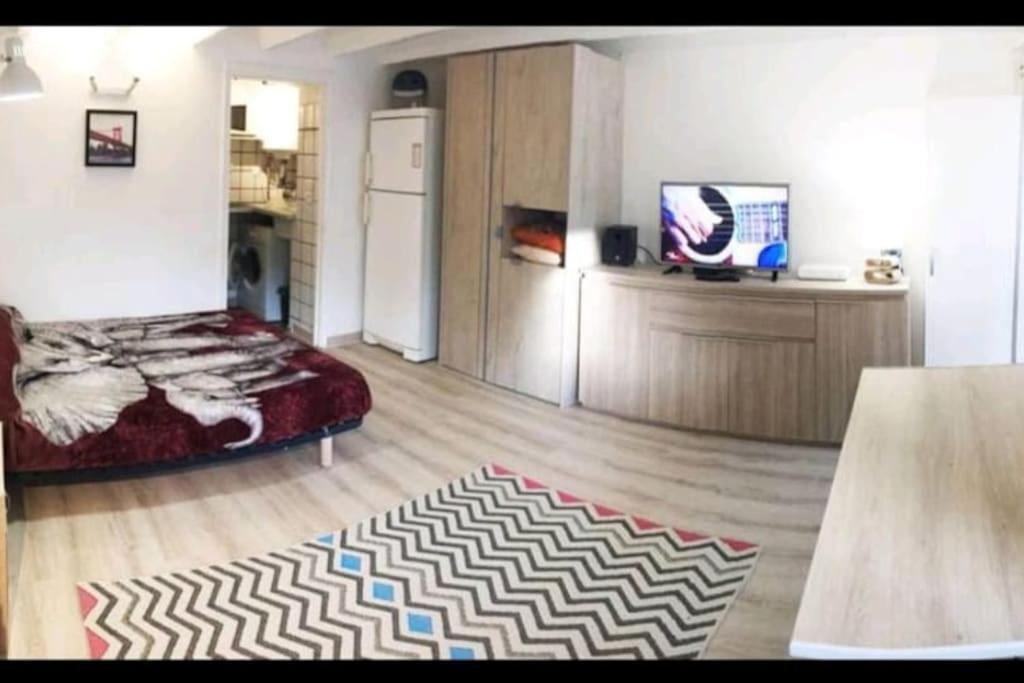 Apartment Les Palmiers - Cosy Proche Plages Et Centre Antibes