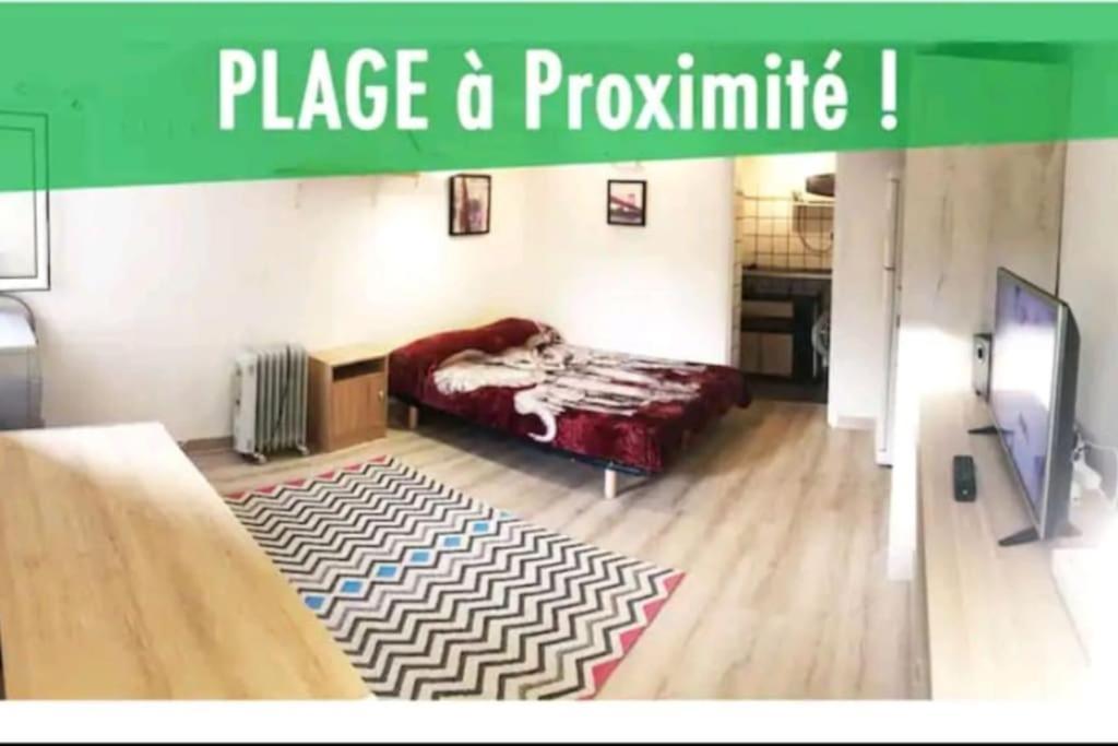 Les Palmiers - Cosy Proche Plages Et Centre *