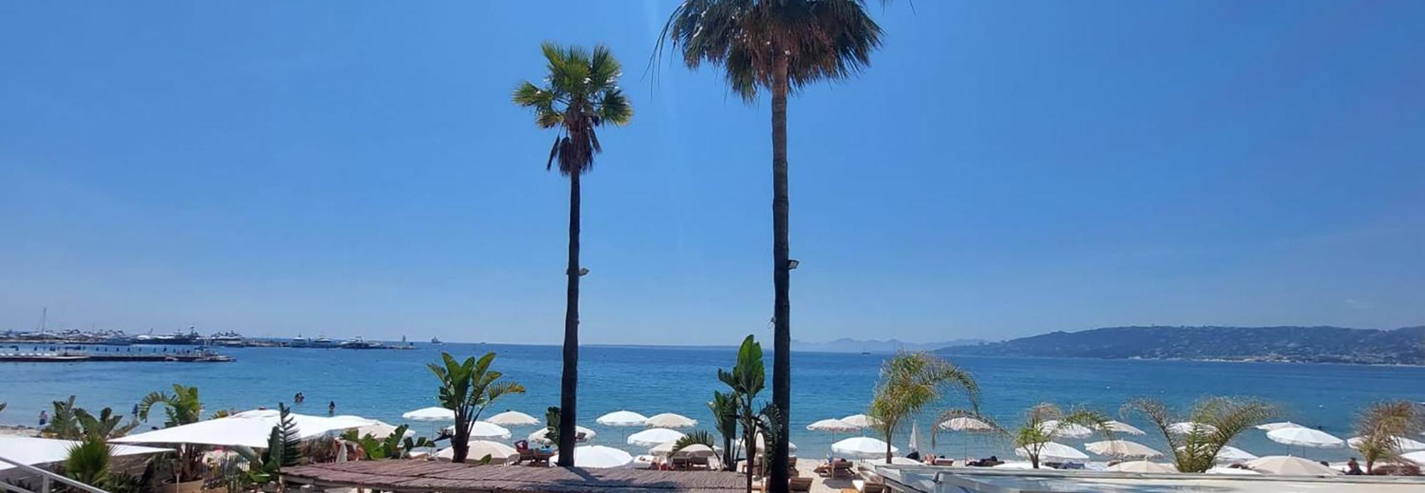 Sur La Pinede A Juan Les Pins * Antibes