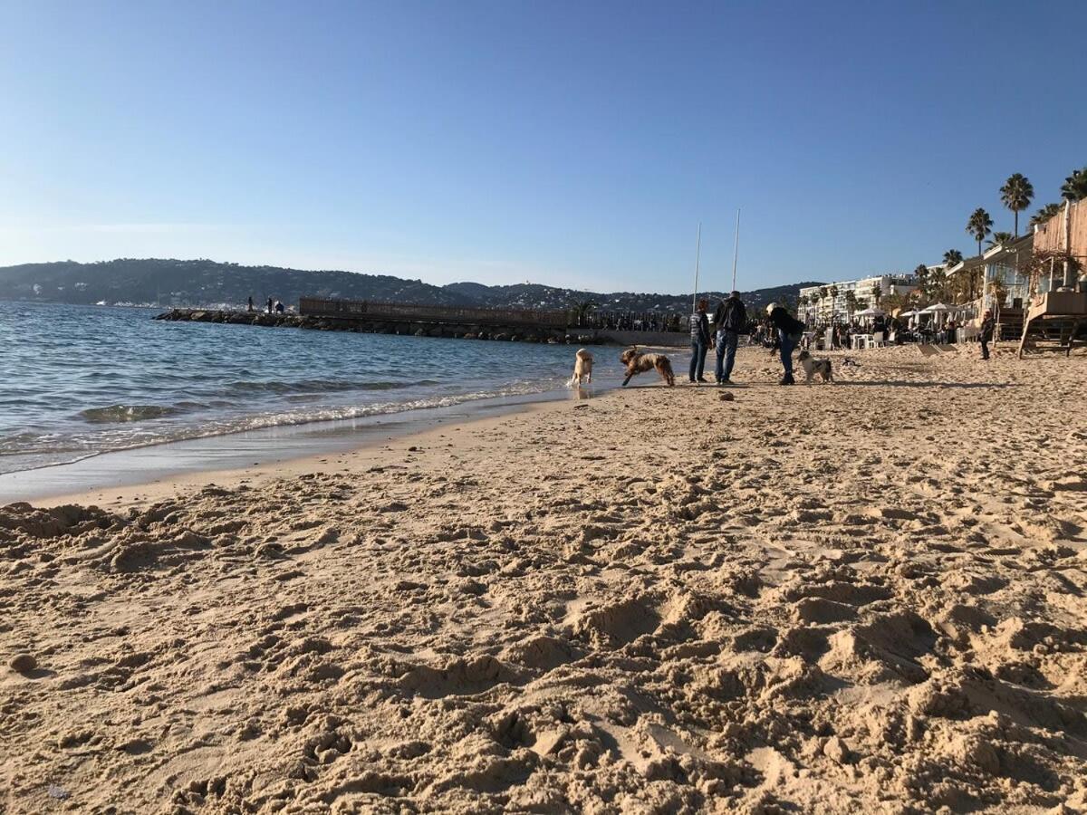 Apartment A059-new With South Facing - Terrace-near The Antibes